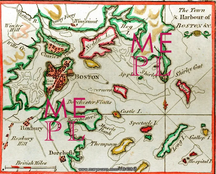  : 19th century Map of the Town Harbour of Boston