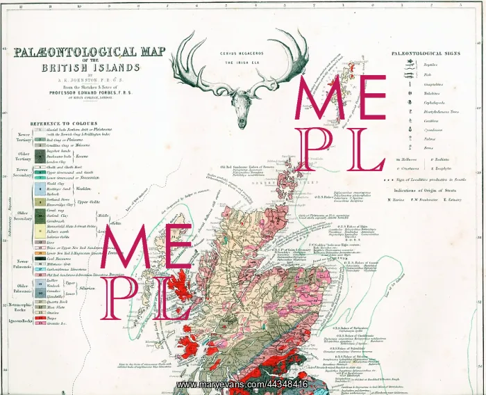  : 19th century Paleontological Map of British Isles