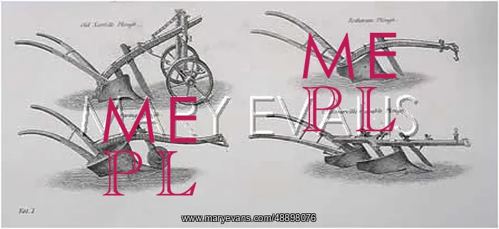 : 19TH CENTURY PLOUGHS : 19TH CENTURY PLOUGHS