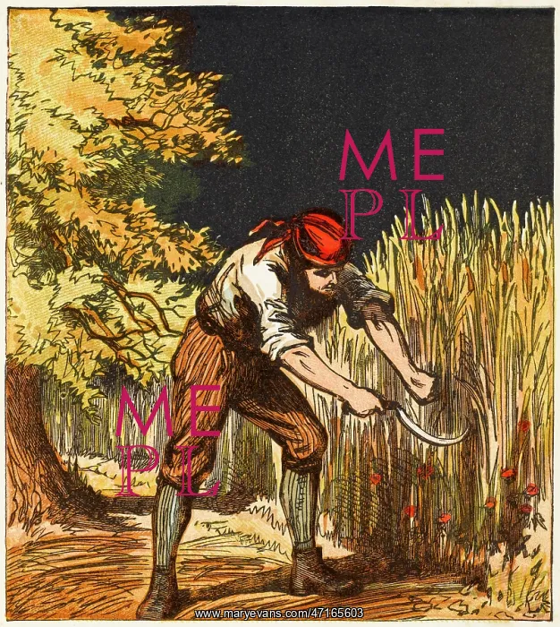 : 19TH CENTURY REAPER : 19TH CENTURY REAPER