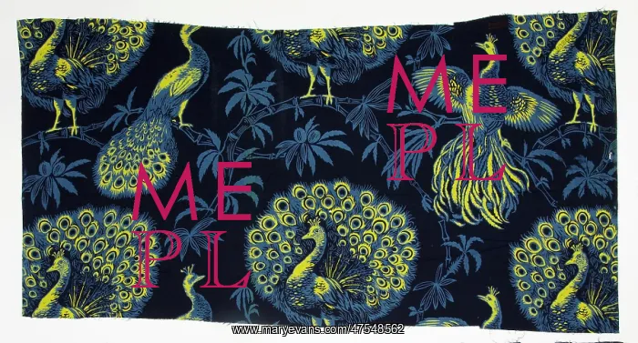  : 19th century Textiles