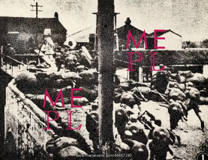  : The 19th Route Army Chasing the Japanese Invaders