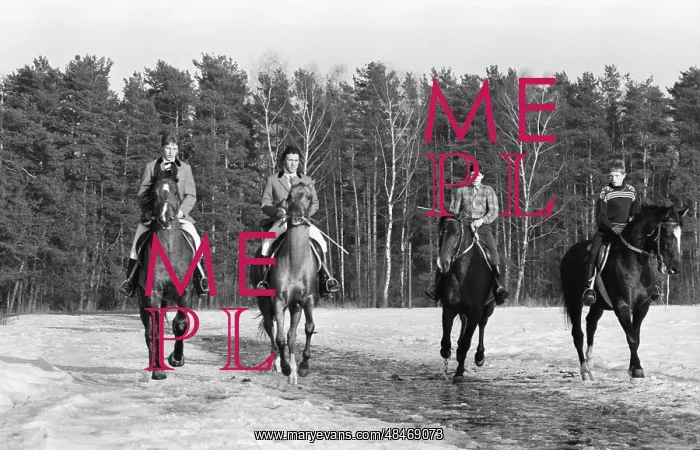 : 1st Moscow Stud Farm : 1st Moscow Stud Farm