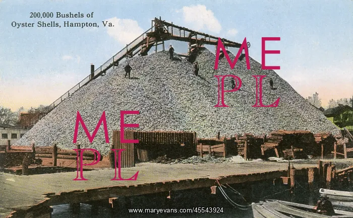 : 200, 000 bushels of Oyster Shells, Hampton, Virginia, USA : 200, 000 bushels of Oyster Shells, Hampton, Virginia, USA