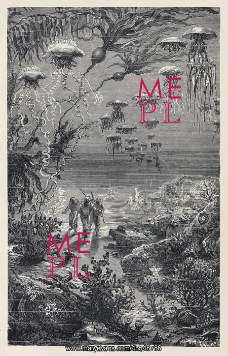 : 20000 Leagues Under the Sea, Jules Verne : 20000 Leagues Under the Sea, Jules Verne
