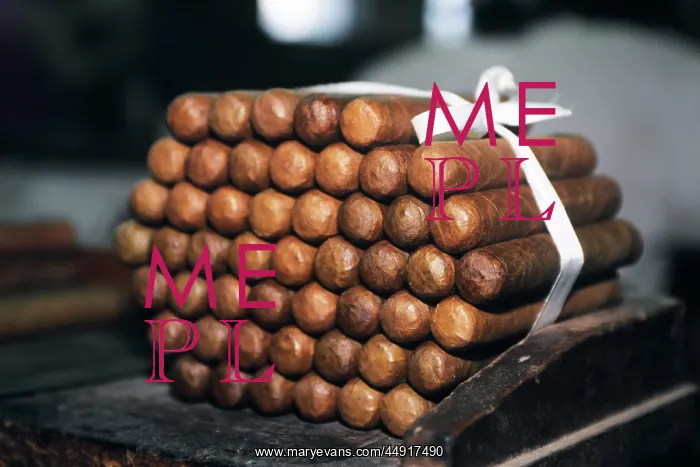 : 2000s - Bundle of Cigars Partagas Cigar Factory Havana : 2000s - Bundle of Cigars Partagas Cigar Factory Havana