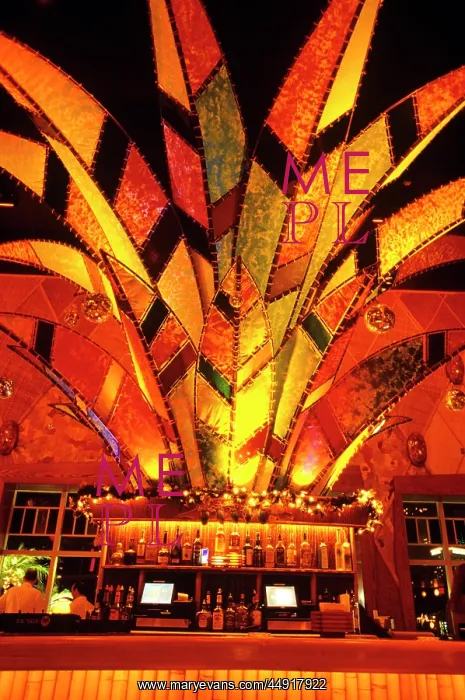 : 2000s - Palm Tree Light at Bar in Bongos Cuban Cafe Res : 2000s - Palm Tree Light at Bar in Bongos Cuban Cafe Res