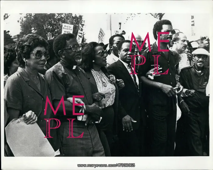 : 20th anniversary march on Washington, USA : 20th anniversary march on Washington, USA