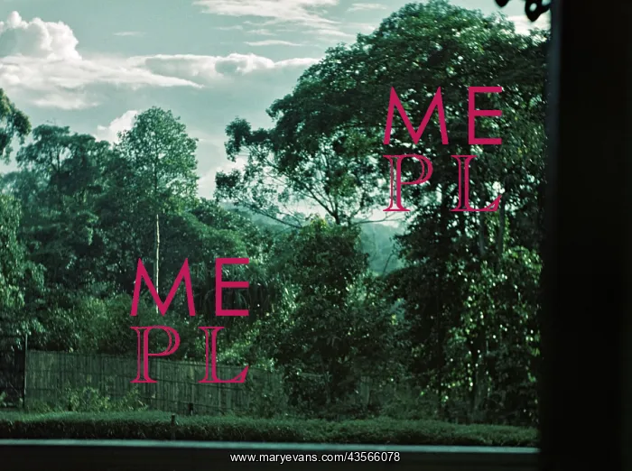 : 22 Mount Pleasant - Rangoon : 22 Mount Pleasant - Rangoon