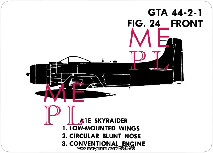 : 24 A1E Skyraider : 24 A1E Skyraider