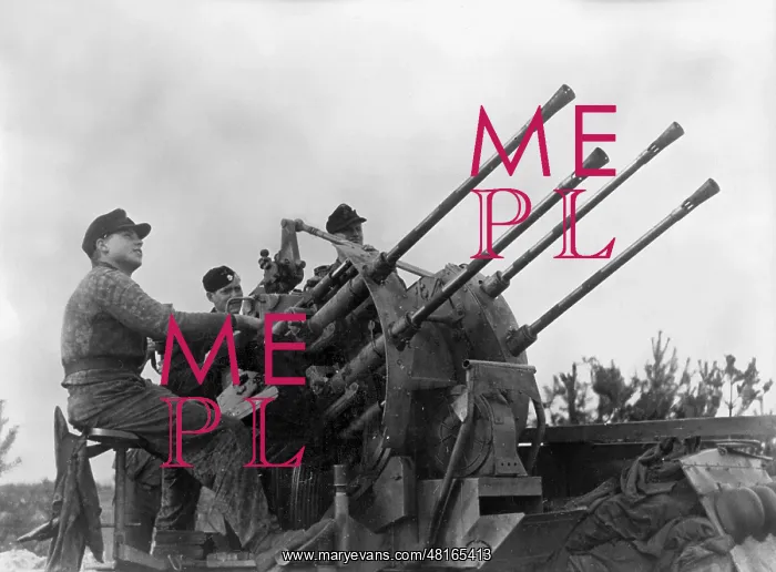 : 2cm Flakvierling of the SS Division Wiking, 1944 : 2cm Flakvierling of the SS Division Wiking, 1944