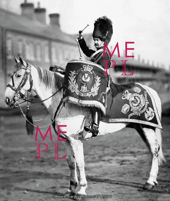  : 2nd Dragoons Regiment Victorian period