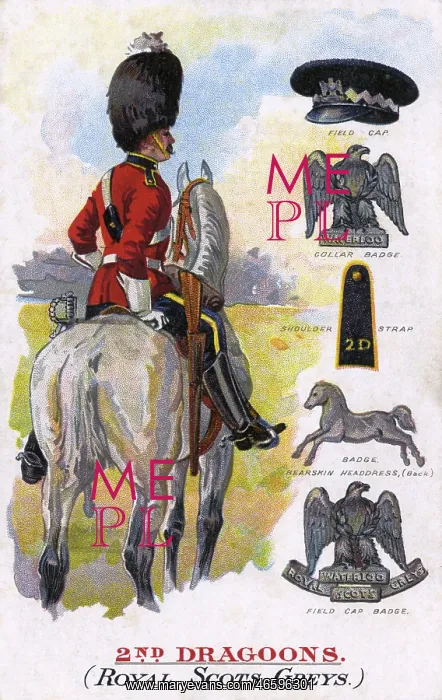 : 2nd Dragoons - Royal Scots Greys - Insignia : 2nd Dragoons - Royal Scots Greys - Insignia