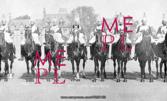  : The 2nd Life Guards