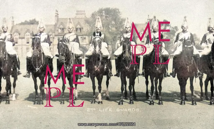  : The 2nd Life Guards