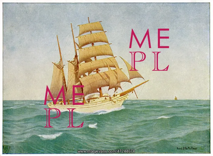  : 3-MASTED SCHOONER