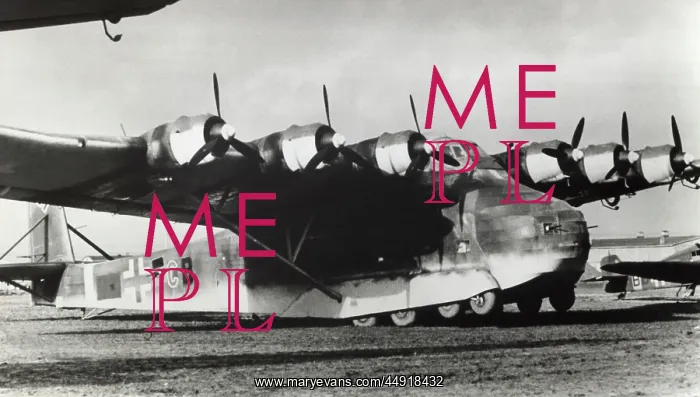  : Me 323 Gigant in Romania