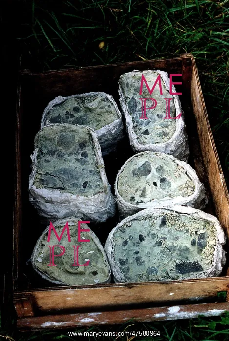 : 380 million year old rocks : 380 million year old rocks