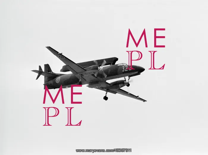 : 38th International Air Show in Le Bourget : 38th International Air Show in Le Bourget
