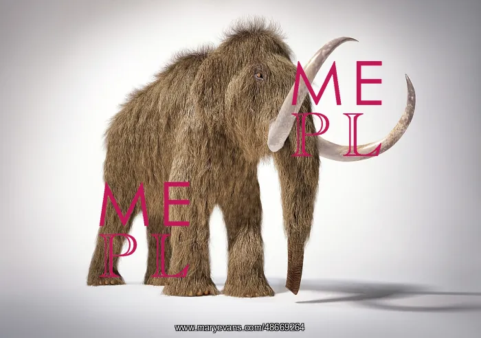 : 3D illustration of a woolly mammoth : 3D illustration of a woolly mammoth