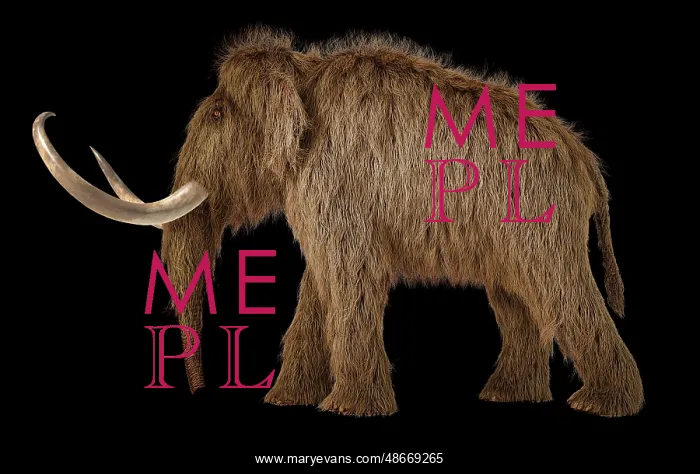 : 3D illustration of a woolly mammoth on black background : 3D illustration of a woolly mammoth on black background