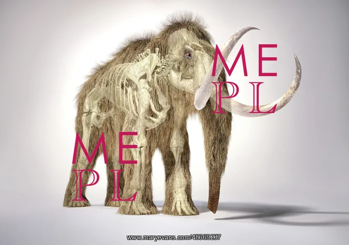 : 3D illustration of woolly mammoth with skeleton : 3D illustration of woolly mammoth with skeleton