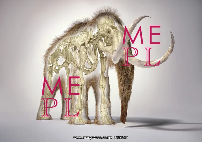  : 3D illustration of woolly mammoth with skeleton