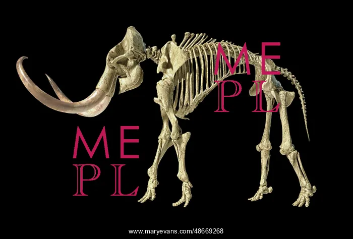 : 3D illustration of woolly mammoth skeleton, side : 3D illustration of woolly mammoth skeleton, side