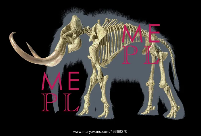 : 3D illustration of woolly mammoth skeleton with : 3D illustration of woolly mammoth skeleton with
