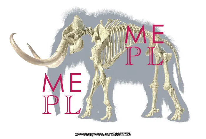 : 3D illustration of woolly mammoth skeleton with : 3D illustration of woolly mammoth skeleton with