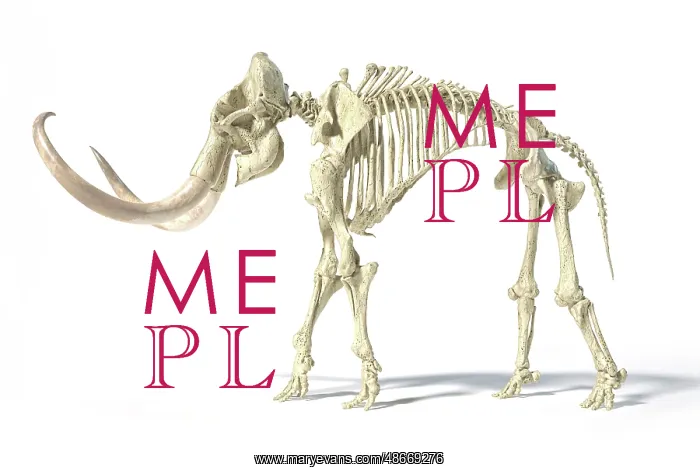 : 3D illustration of woolly mammoth skeleton, side : 3D illustration of woolly mammoth skeleton, side