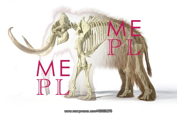 : 3D illustration of woolly mammoth with skeleton : 3D illustration of woolly mammoth with skeleton