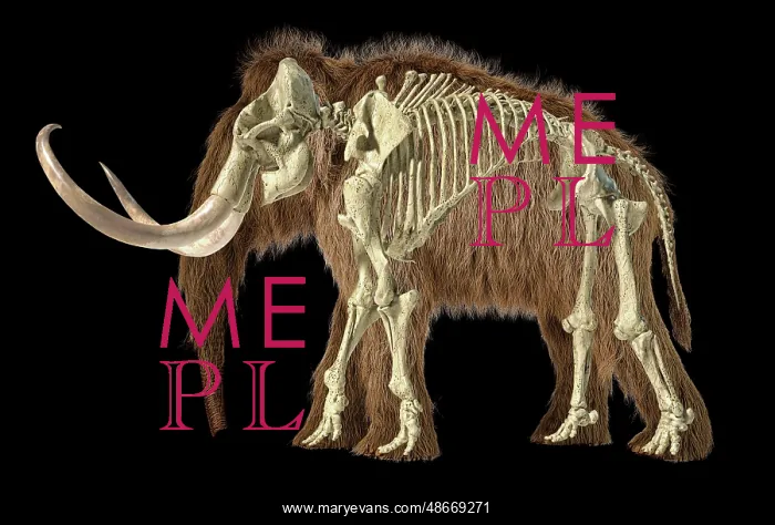 : 3D illustration of woolly mammoth with skeleton superimposed : 3D illustration of woolly mammoth with skeleton superimposed