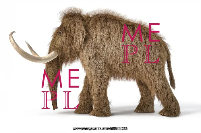 : 3D illustration of a woolly mammoth on white background : 3D illustration of a woolly mammoth on white background