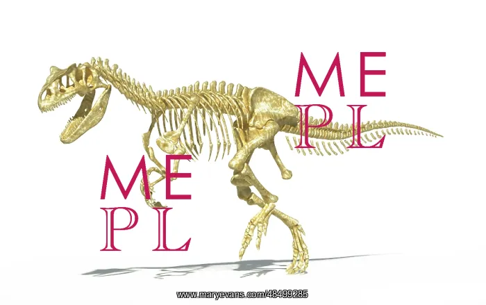 : 3D rendering of an Allosaurus dinosaur skeleton : 3D rendering of an Allosaurus dinosaur skeleton