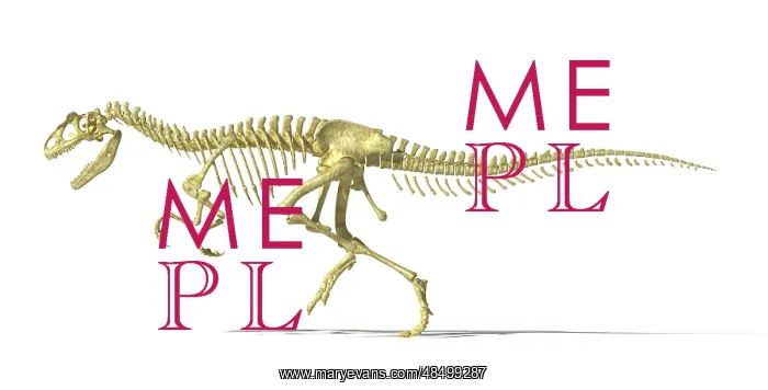 : 3D rendering of an Allosaurus dinosaur skeleton : 3D rendering of an Allosaurus dinosaur skeleton