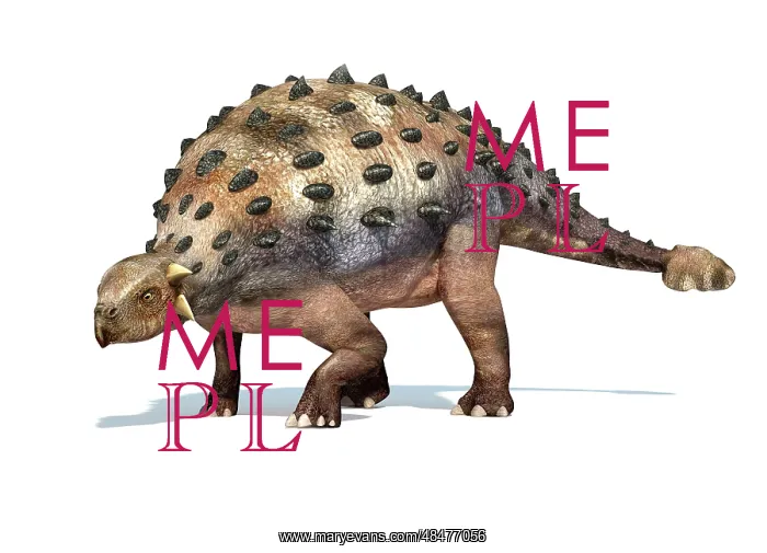 : 3D rendering of an Ankylosaurus dinosaur : 3D rendering of an Ankylosaurus dinosaur
