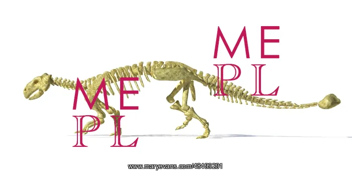 : 3D rendering of an Ankylosaurus dinosaur skeleton : 3D rendering of an Ankylosaurus dinosaur skeleton