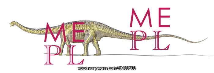 : 3D rendering of a Diplodocus dinosaur with full skeleton ? : 3D rendering of a Diplodocus dinosaur with full skeleton ?