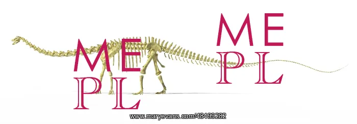 : 3D rendering of a Diplodocus dinosaur skeleton : 3D rendering of a Diplodocus dinosaur skeleton