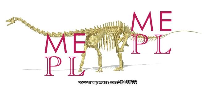 : 3D rendering of a Diplodocus dinosaur skeleton : 3D rendering of a Diplodocus dinosaur skeleton