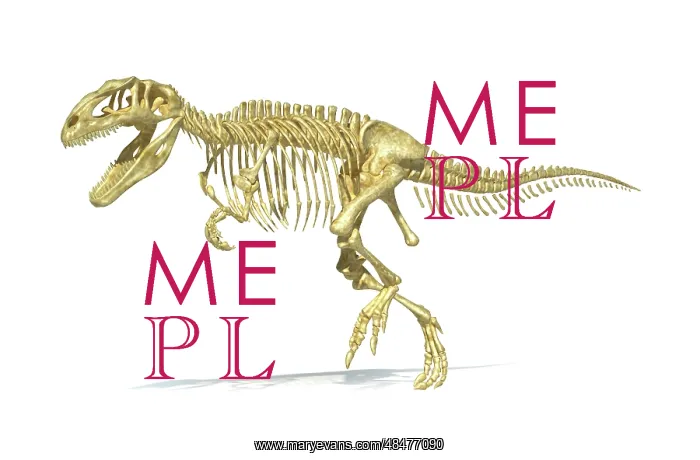 : 3D rendering of a Giganotosaurus dinosaur skeleton : 3D rendering of a Giganotosaurus dinosaur skeleton