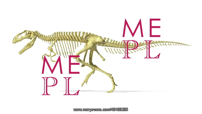 : 3D rendering of a Giganotosaurus dinosaur skeleton : 3D rendering of a Giganotosaurus dinosaur skeleton