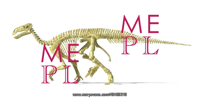 : 3D rendering of an Iguanodon dinosaur skeleton : 3D rendering of an Iguanodon dinosaur skeleton