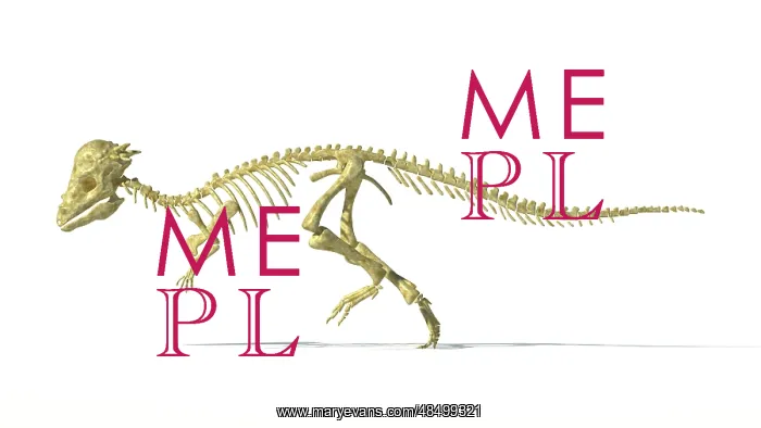 : 3D rendering of a Pachycephalosaurus dinosaur skeleton : 3D rendering of a Pachycephalosaurus dinosaur skeleton