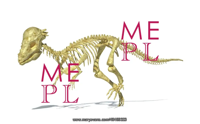 : 3D rendering of a Pachycephalosaurus dinosaur skeleton : 3D rendering of a Pachycephalosaurus dinosaur skeleton