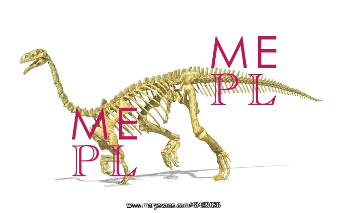 : 3D rendering of a Plateosaurus dinosaur skeleton : 3D rendering of a Plateosaurus dinosaur skeleton