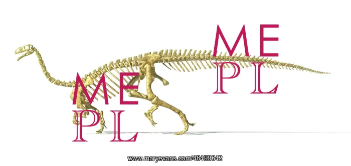 : 3D rendering of a Plateosaurus dinosaur skeleton : 3D rendering of a Plateosaurus dinosaur skeleton