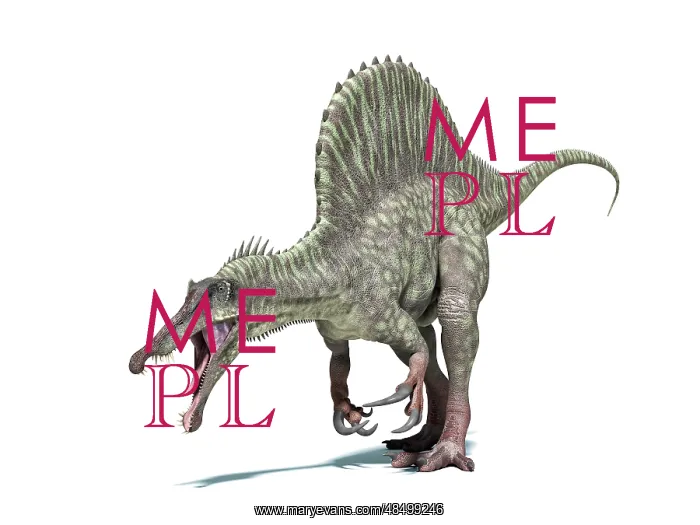 : 3D rendering of a Spinosaurus dinosaur : 3D rendering of a Spinosaurus dinosaur