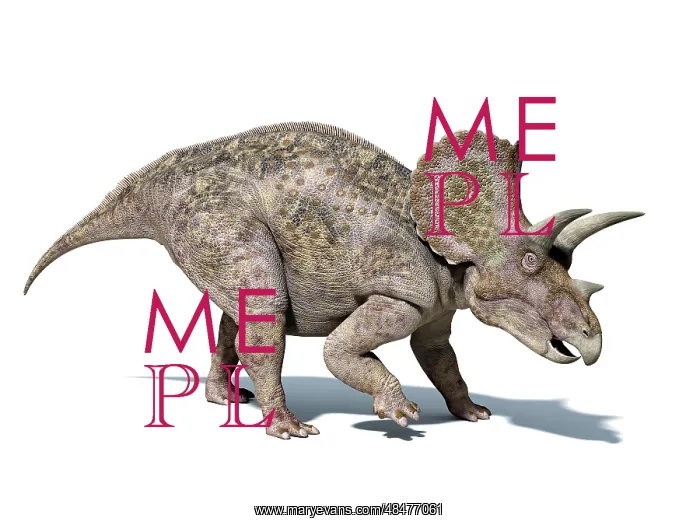 : 3D rendering of a Triceratops dinosaur : 3D rendering of a Triceratops dinosaur